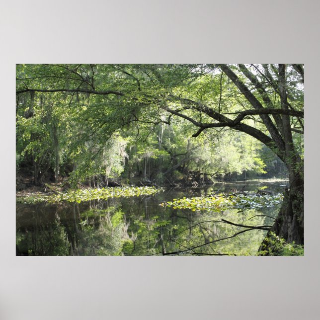 Cypress River A Part Poster -60x40 - oder kleiner (Vorne)