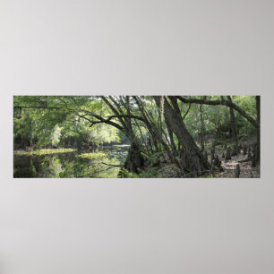 Cypress River Panoramic Poster -60x20 - oder klein