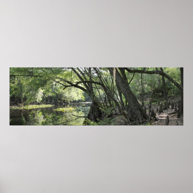 Cypress River Panoramic Poster -60x20 - oder klein (Vorne)