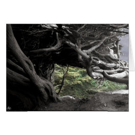 Cypress Skeleton - Karte