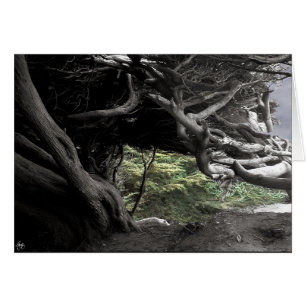 Cypress Skeleton - Karte