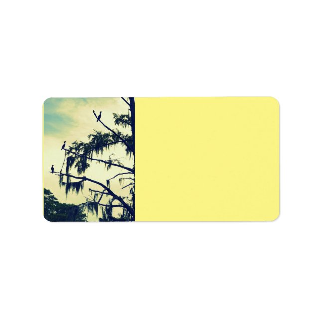 Cypress Tree Birds Rücksendeadressen-Aufkleber Adressaufkleber (Vorne)