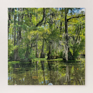 Cypress Trees Covered with Spanish Moss Puzzle