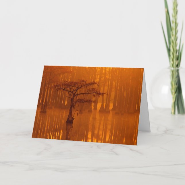 Cypress Trees | George Smith Staat Park Karte (Vorderseite)