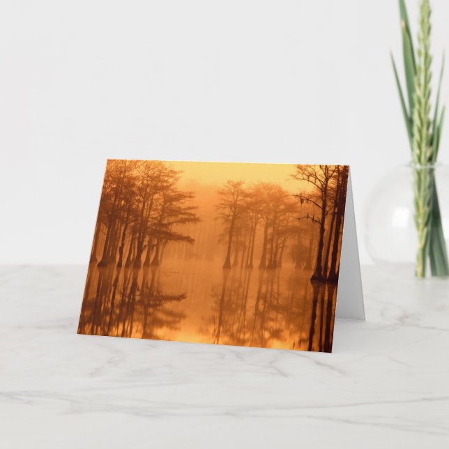 Cypress Trees George Smith Staat Park Karte (Vorderseite)