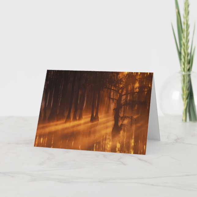 Cypress Trees | George Smith Staat Park Karte (Vorderseite)