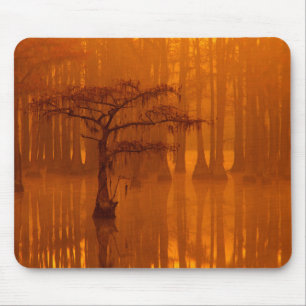 Cypress Trees George Smith Staat Park Mousepad