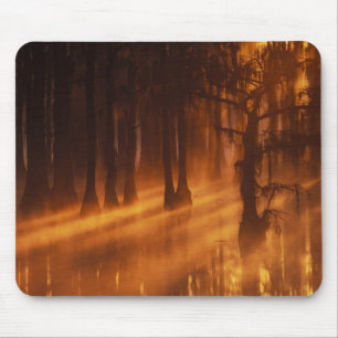 Cypress Trees   George Smith Staat Park Mousepad