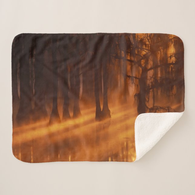Cypress Trees | George Smith Staat Park Sherpadecke (Vorderseite (Horizontal))