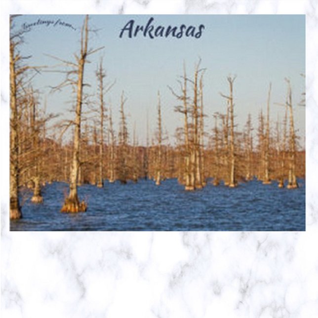 Cypress Trees in Big Lake NWR Arkansas Postkarte (Von Creator hochgeladen)