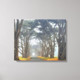 Cypress-Tunnel Leinwanddruck