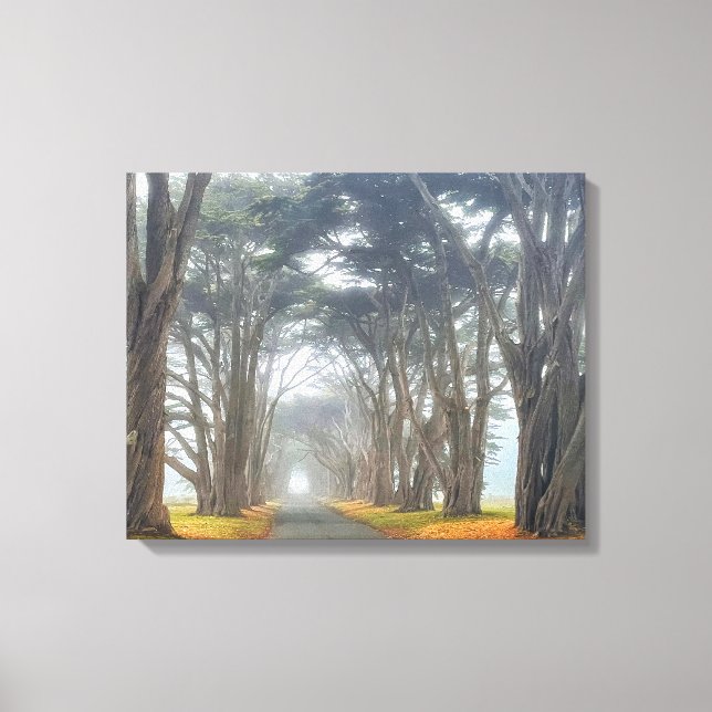 Cypress-Tunnel Leinwanddruck (Vorderseite)