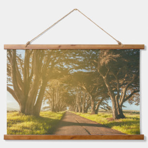 Cypress Tunnel Point Reyes National Seashore Wandteppich Mit Holzrahmen