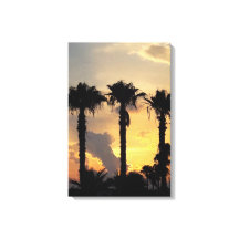 Cypriot Limassol Sunset – Mediterranean Palm Trees