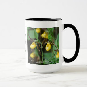 Cypripedium parviflorum, gelber Damepantoffel Tasse