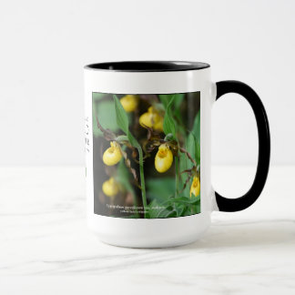 Cypripedium parviflorum, gelber Damepantoffel Tasse