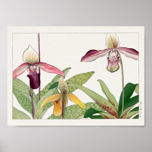 Cypripedium von Tanigami Konan Poster