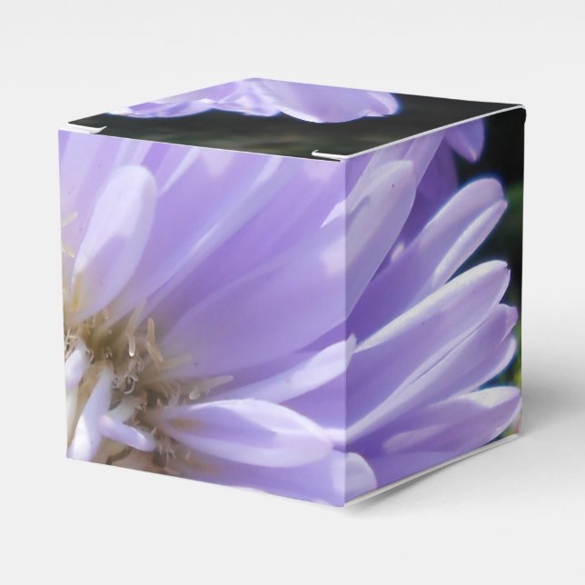 Cyren Geschenkschachtel (Vorderseite)