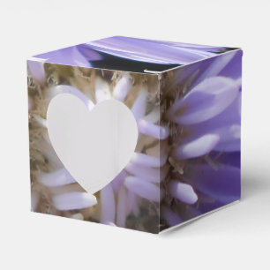 Cyren Geschenkschachtel