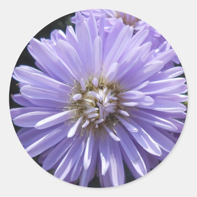 Cyren Runder Aufkleber (Vorderseite)