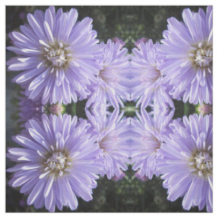 Cyren Stoff