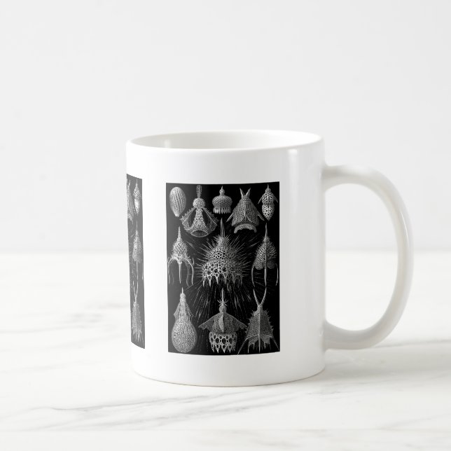 Cyrtoidea Kaffeetasse (Rechts)