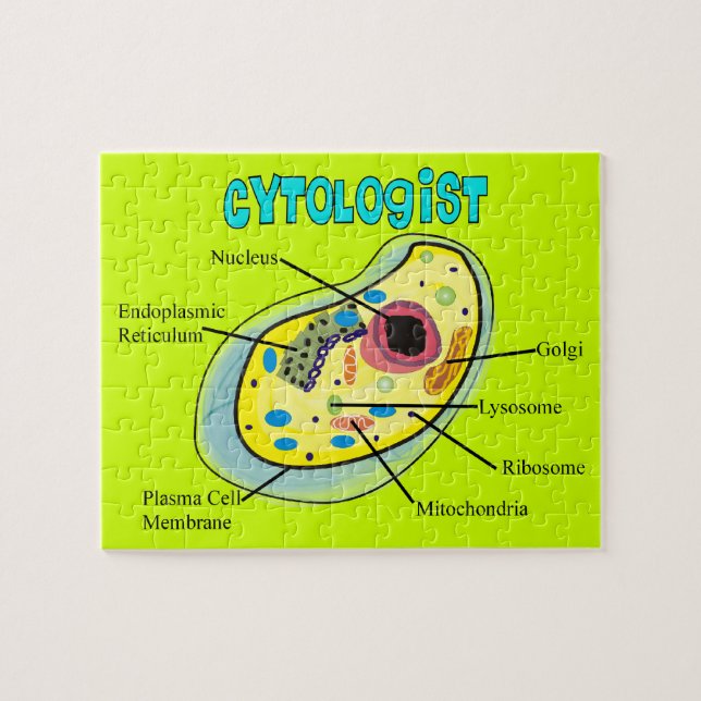 Cytologist-menschliche Zellen-Puzzlespiel Puzzle (Horizontal)