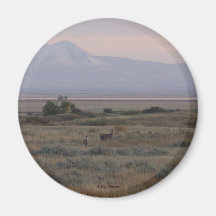 D10 Weißschwanz-Hirsch- und Süßgrasberge