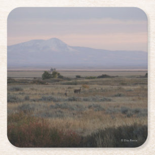 D10 Weißschwanzhirsche in Sandhügeln Rechteckiger Pappuntersetzer