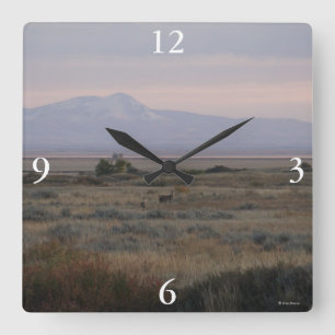 D10 Weißwedelhirsche und Sweet Grass Hills Quadratische Wanduhr