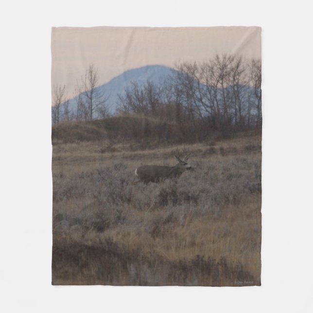 D12 Mule Deer Buck and Sweet Grass Hills Fleecedecke (Vorderseite)