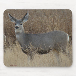 D14 Mule Deer Doe Mousepad