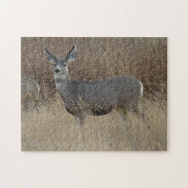 D14 Mule Deer Doe Puzzle (Horizontal)