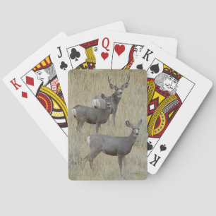 D18 Maultierhirsch Spielkarten