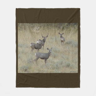 D18 Mule Deer Fleecedecke