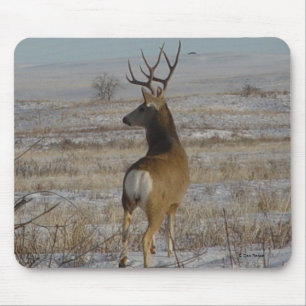 D20 Maultierhirsch Bock im Schnee Mousepad