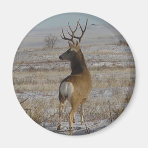 D20 Maultierhirsch im Schnee Magnet