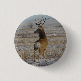 D20 Mule Deer Buck in Snow Button