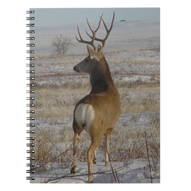 D20 Mule Deer Buck in Snow Notizblock (Vorderseite)