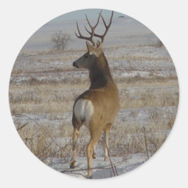 D20 Mule Deer Buck in Snow Runder Aufkleber