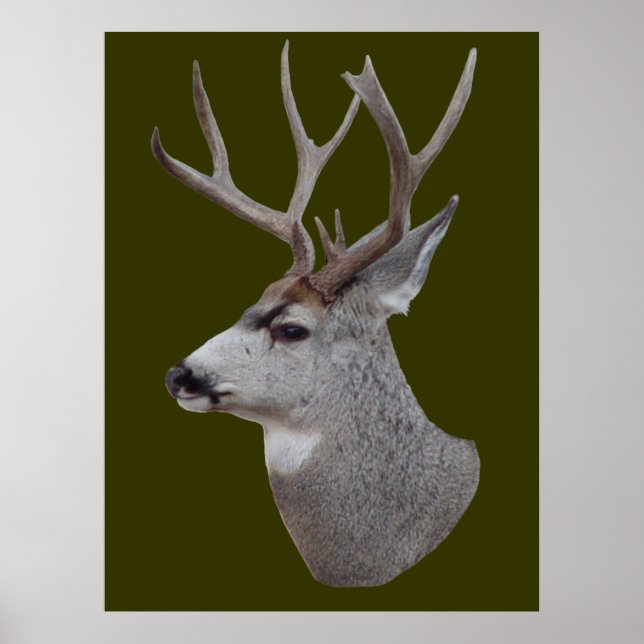 D27 Maultierhirsch‑Bockkopf Poster (Vorne)