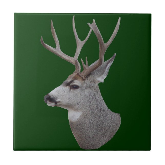 D27 Mule Deer Buck Head Fliese (Vorderseite)