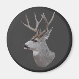 D27 Mule Deer Buck Head Magnet