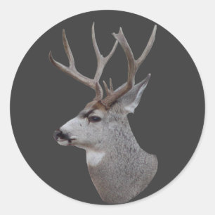 D27 Mule Deer Buck Head Runder Aufkleber