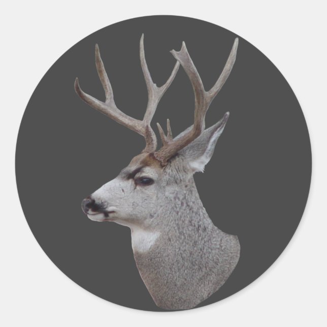 D27 Mule Deer Buck Head Runder Aufkleber (Vorderseite)