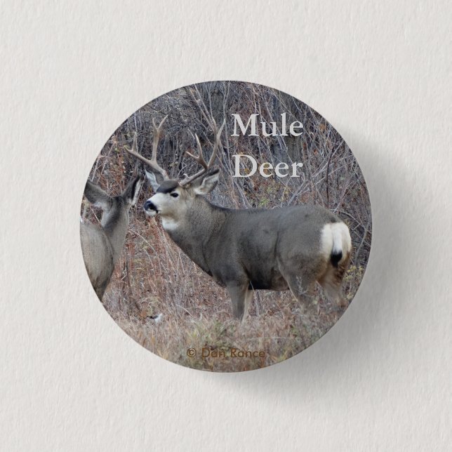 D29 Maultierhirsch Button (Vorderseite)
