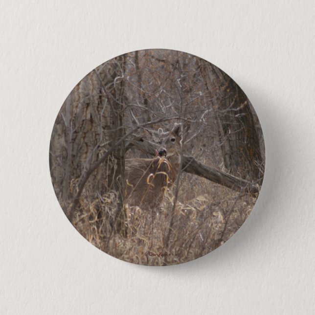 D2 Whitetail Deer Spring Buck in Cottonwood Trees Button (Vorderseite)