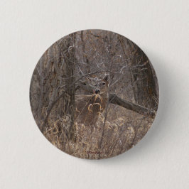 D2 Whitetail Deer Spring Buck in Cottonwood Trees Button