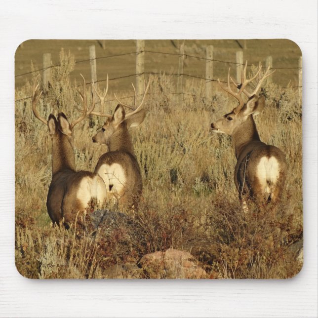 D30 Maultierhirsche Mousepad (Vorne)