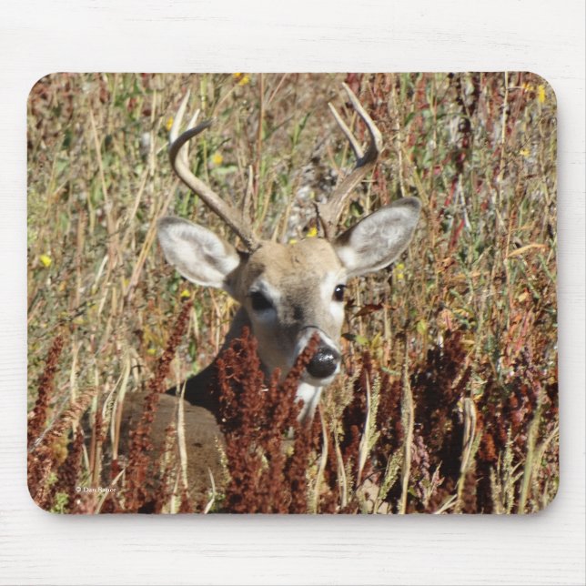 D31 Weißwedelhirsch im Unkraut Mousepad (Vorne)